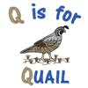 Q is for Quail Large