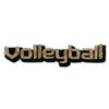 Metallic Sports Volleyball Text
