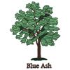 Blue Ash