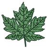 Silver Maple Leaf