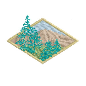 Diamond Mountain Pines