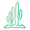 Cactus Outline