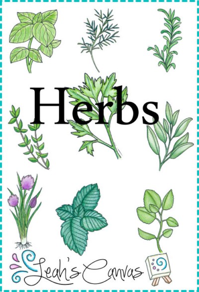 Herbs Embroidery Patterns