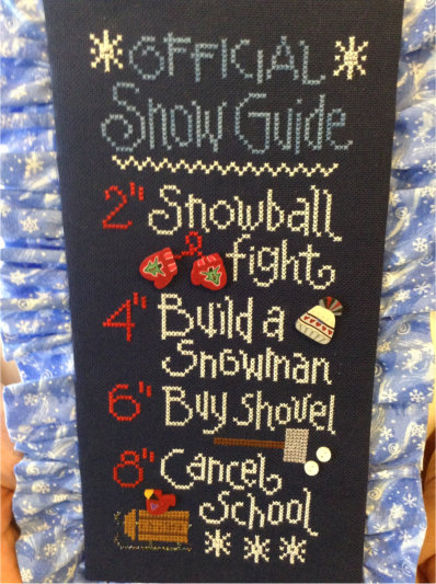 Snow Guide