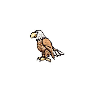 Mini Eagle