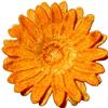Gerber Daisy 3D Flower