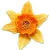 Daffodil 3D Flower