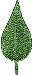 Leaf (2.5)