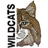 Wildcats Mascot (Half Face)