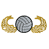 Volleyball 38 - Wings