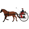 Horse & Buggy / Regular