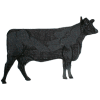 Cow, small