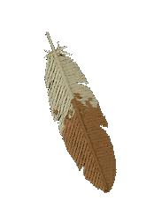 Small Eagle Feather