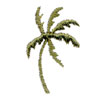 Mini Windy Palm