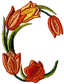 Tulips Oval