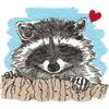 Raccoon Love