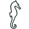 Sea Horse/Hippocampe
