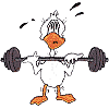 Duck With Barbell