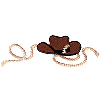 Cowboy Hat & Rope