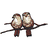 Pair of Birds