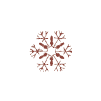 Snowflake 1 C