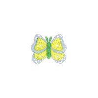 Spring Butterfly 