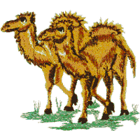 Camels (Noah's Ark)