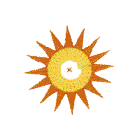 Snaps: Sun