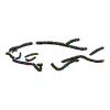 Fish-Single Color