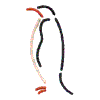 Penguin 2-Multi Color