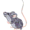 Mouse A