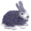Rabbit B