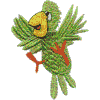 Parrot B