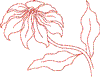 Poinsettia 1