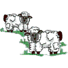 Sheep (Noah's Ark)