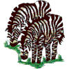Zebras (Noah's Ark)