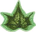 Ivy Leaf 1