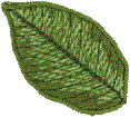 Poinsettia Leaf 2