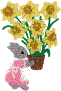 Girl Bunny with Daffodils