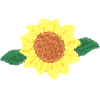 Small Sunflower