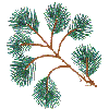 Pine Branch