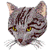 Cat Portrait, Gray