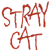 Lettering "Stray Cat"