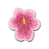 Pansy Flower