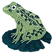 Lilypad Frog