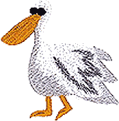 Mama Pelican