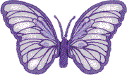 Butterfly 9 Wings
