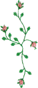 Delicate Rosebuds
