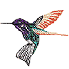 Jacobian Hummingbird