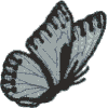 Butterfly 8 Base